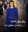 رنگی که سال 2027 را تسخیر می کند | معرفی رسمی رنگ سال 2027